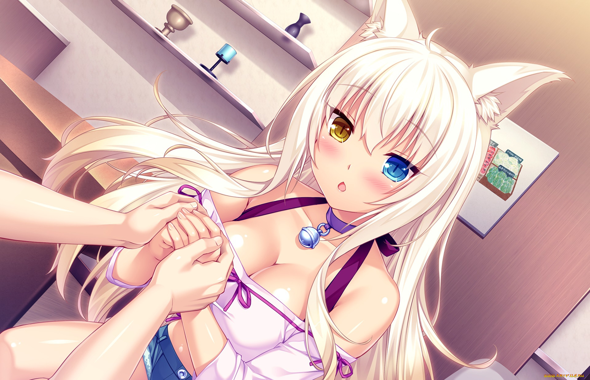 , nekopara, , , 